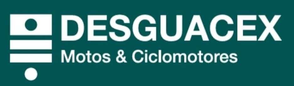 logotipo desguacex